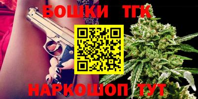 дживик Моздок