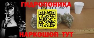 дживик Моздок