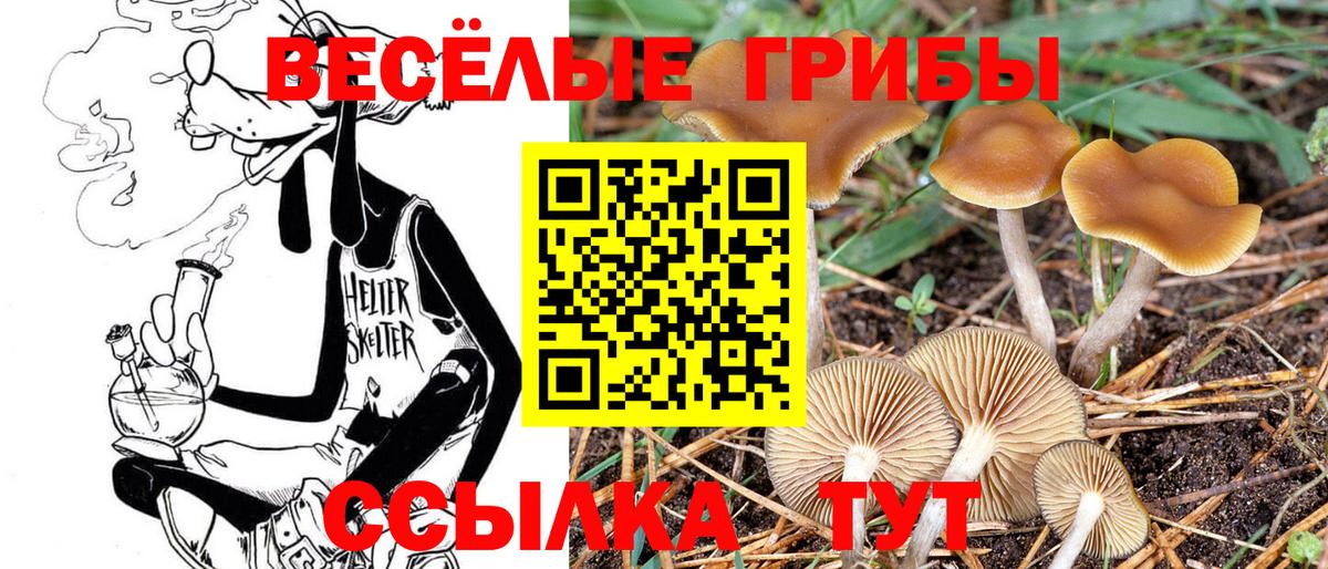 Галлюциногенные грибы прущие грибы Усинск