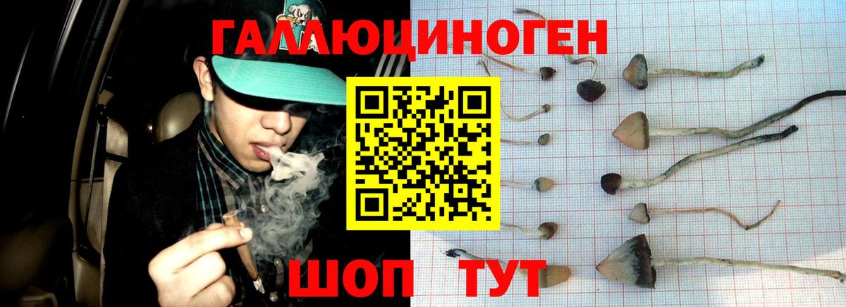 Галлюциногенные грибы Psilocybe  Галлюциногенные грибы Psilocybe  Усинск  Вход с VPN 